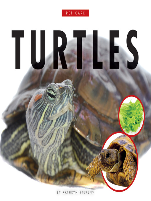 Title details for Turtles by Kathryn Stevens - Available